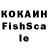 Канабис конопля Dimkas kot