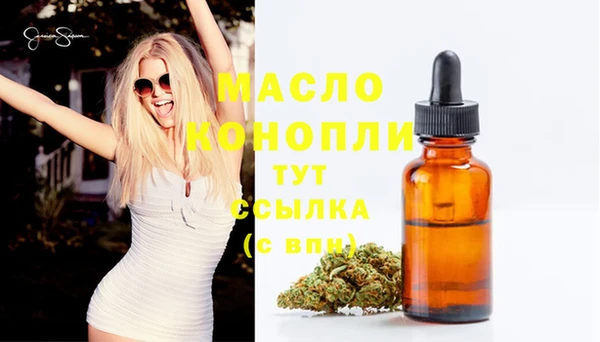 дмт Абаза