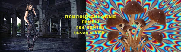 ГАЛЛЮЦИНОГЕННЫЕ ГРИБЫ Алзамай